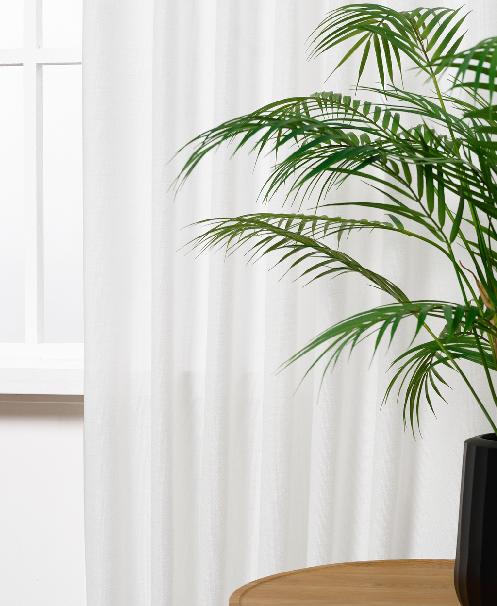 Inbetween Bahama Ivoor