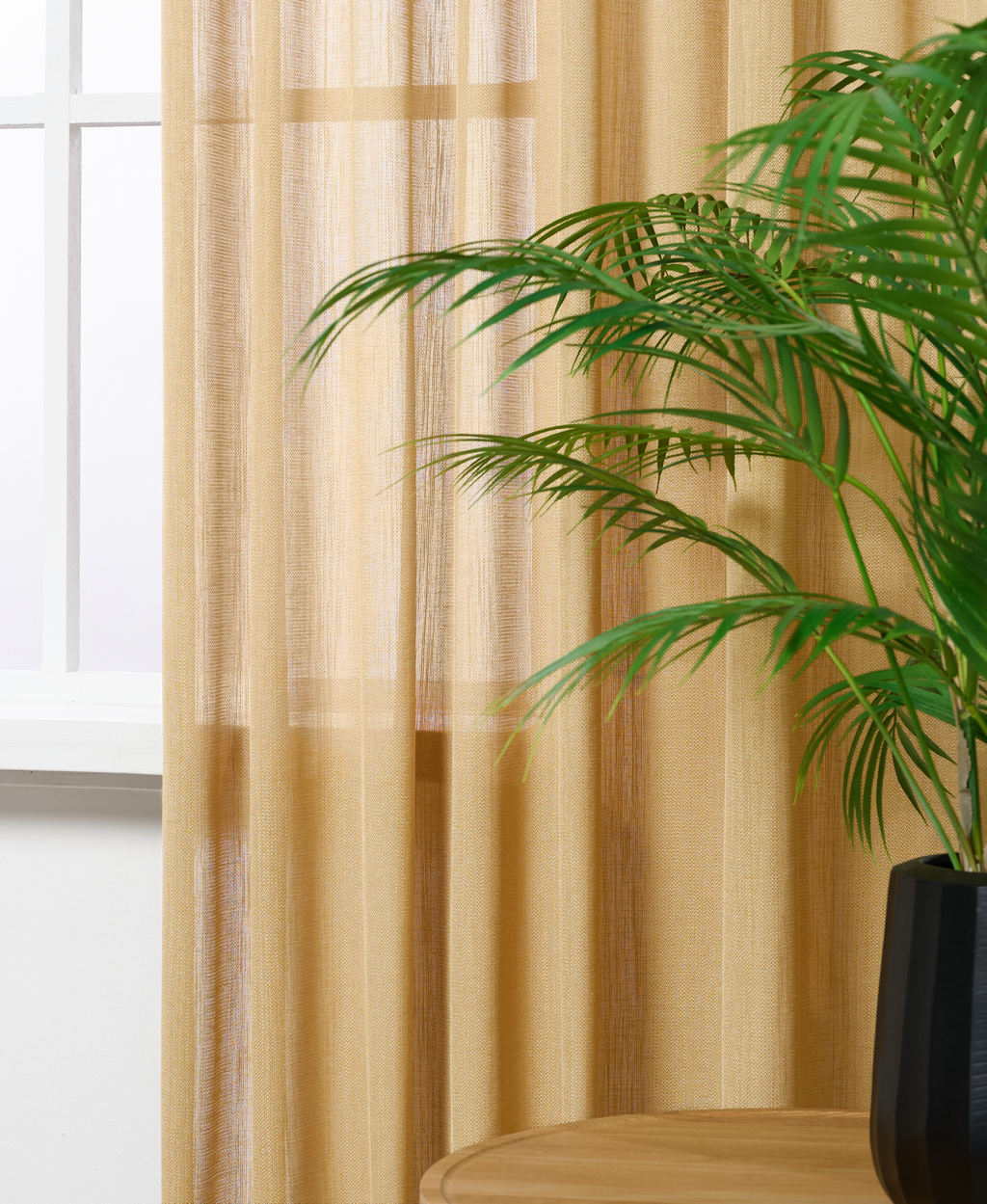 Inbetween Jamaica Goud 9